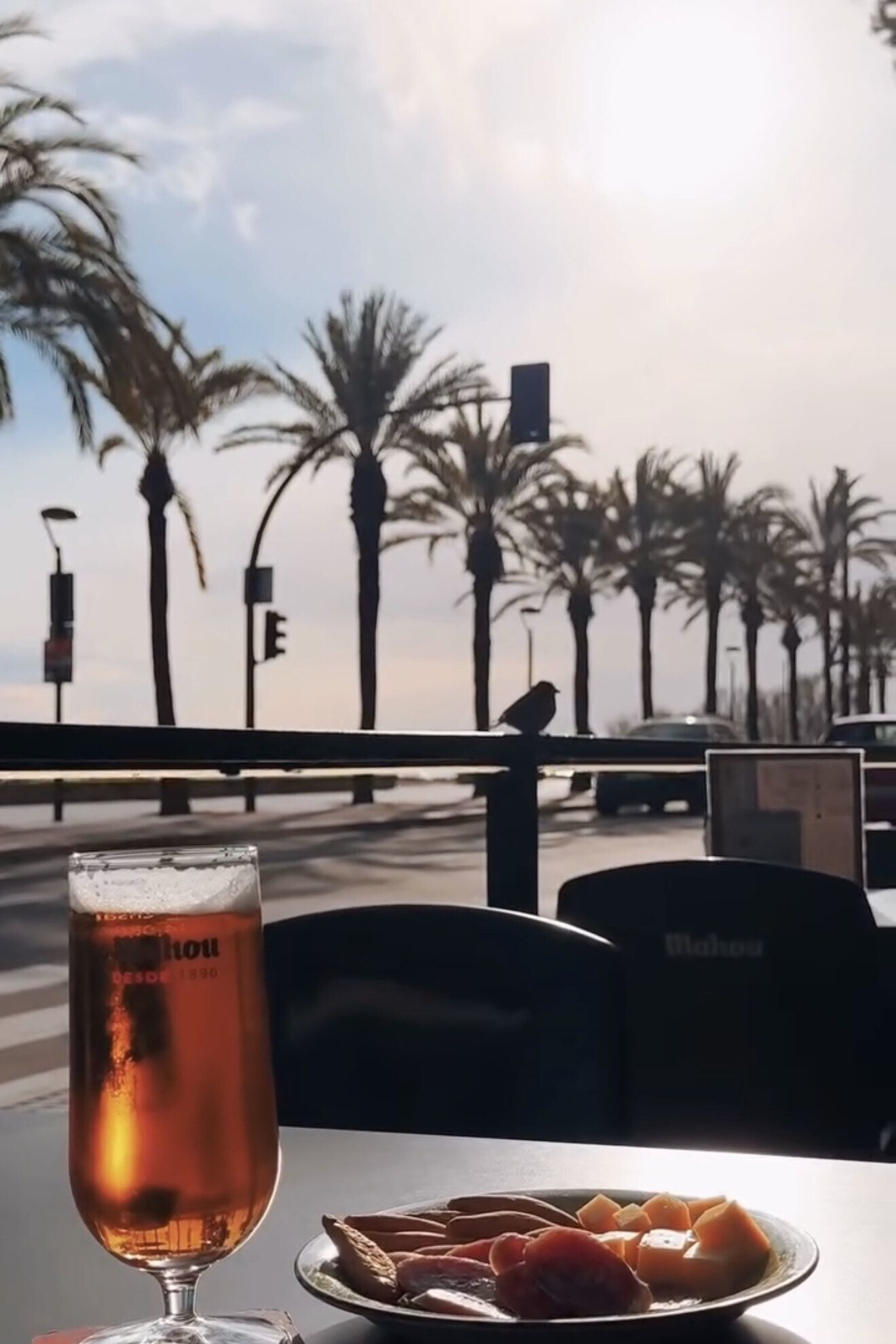 Una caña y un aperitivo en la terraza, frente a las palmeras del paseo