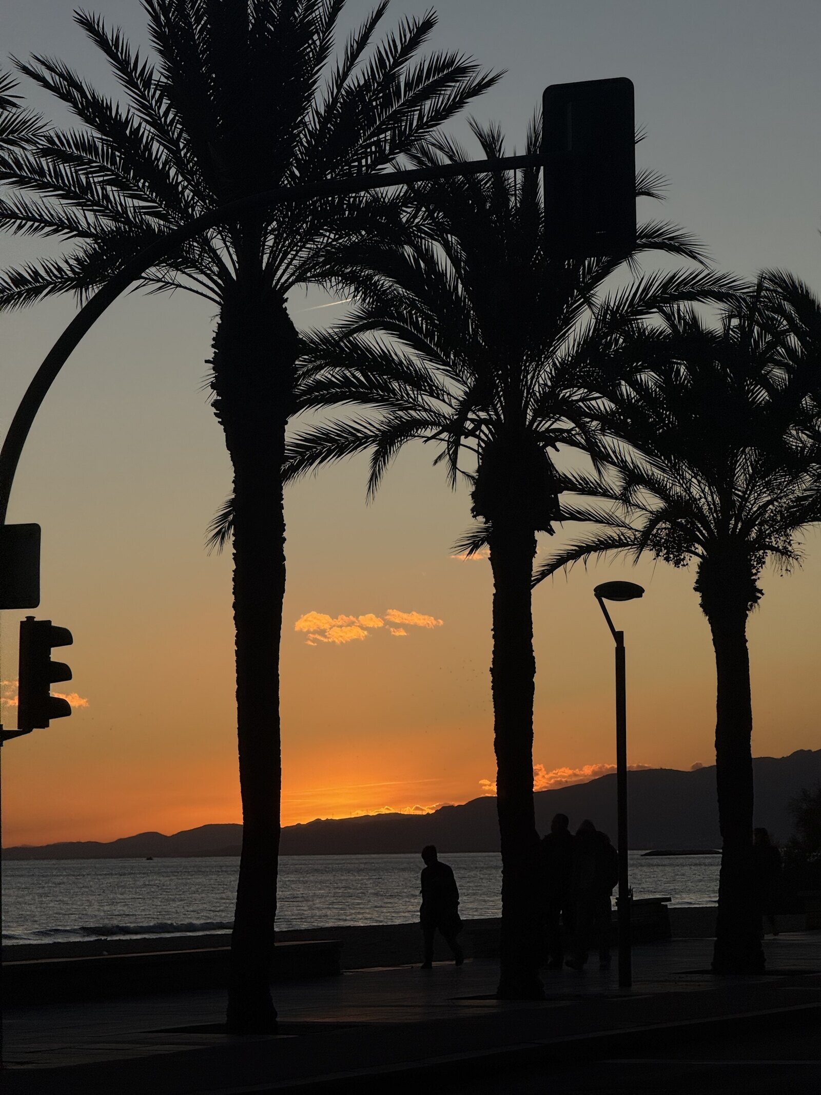 Puesta de sol entre las palmeras del paseo, frente al mar